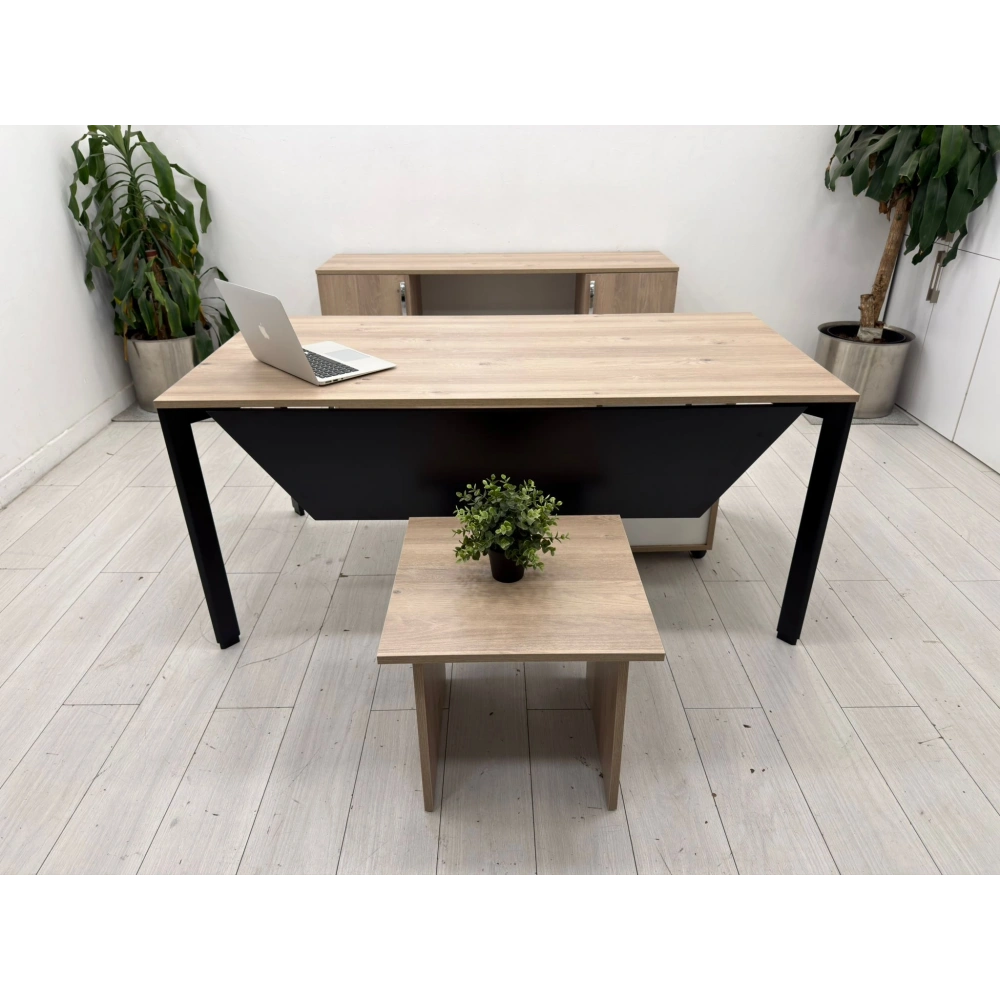 Karya Ofis Çalışma Masası Takımı