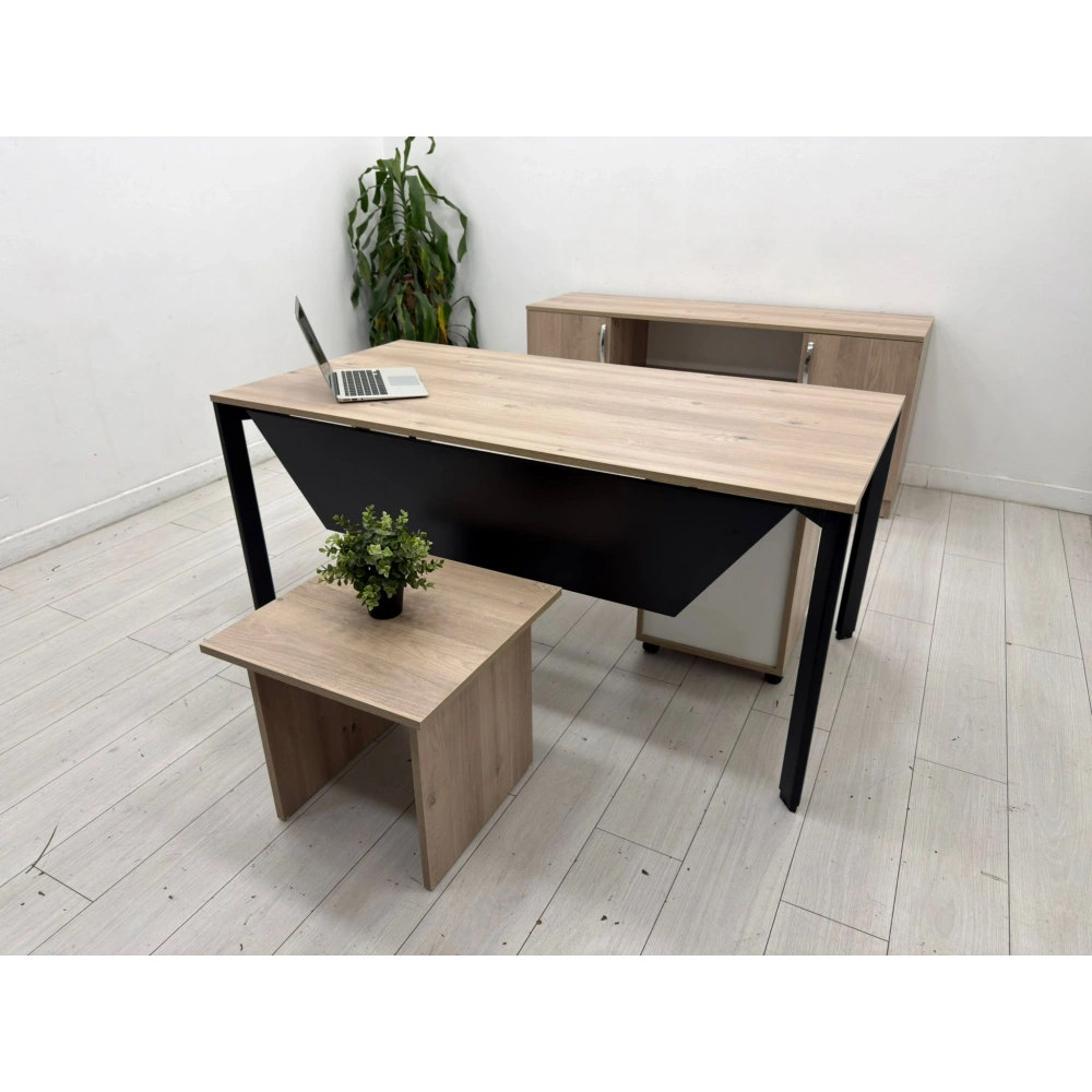 Karya Ofis Çalışma Masası Takımı