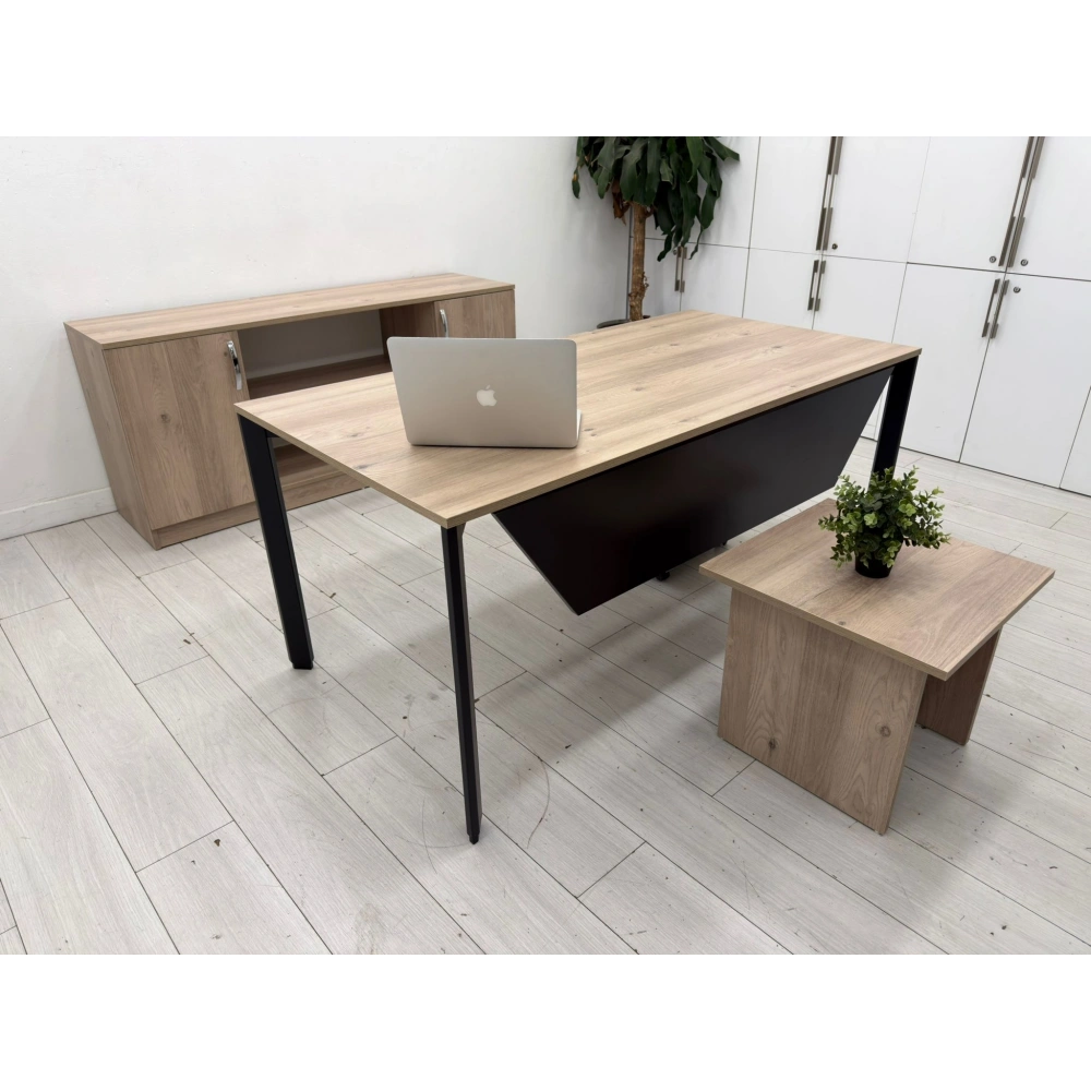 Karya Ofis Çalışma Masası Takımı