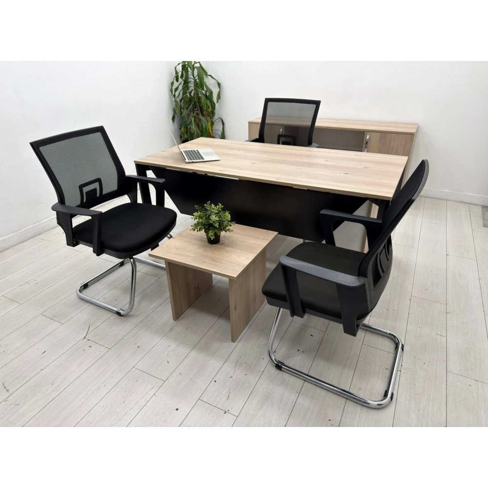 Karya Ofis Çalışma Masası Takımı