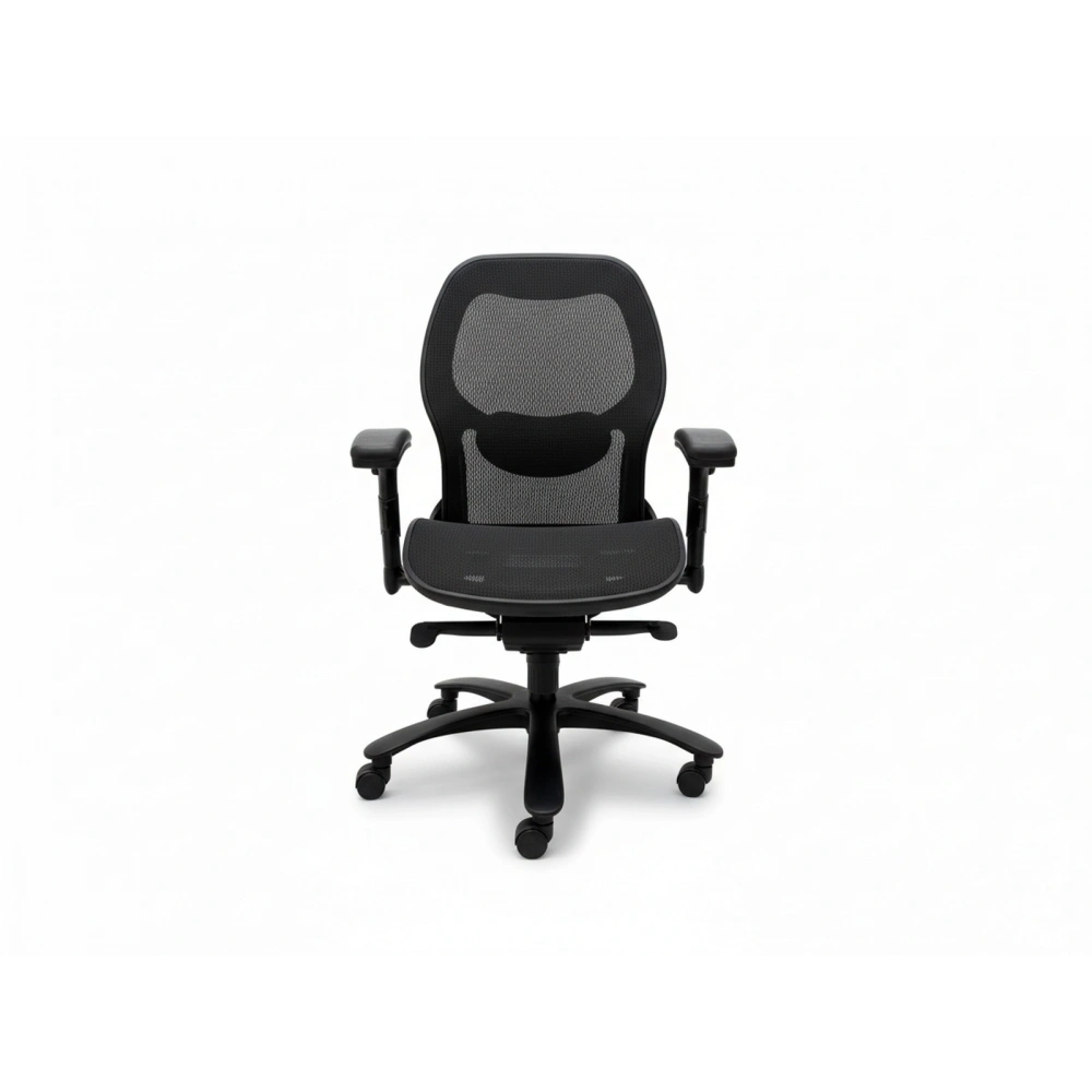 Leixin Ortopedik Yönetici Çalışma Koltuğu ST 100 Ad