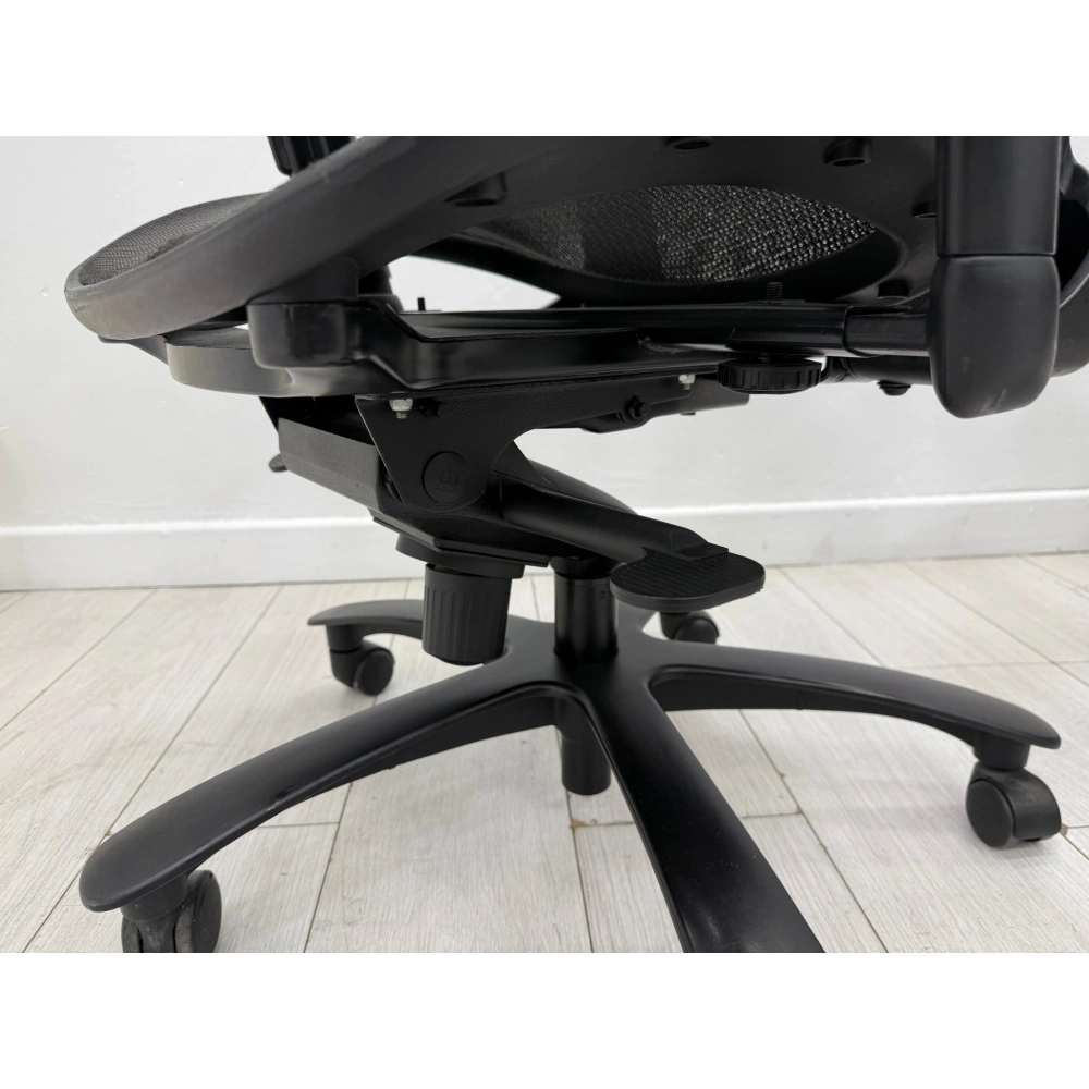 Leixin Ortopedik Yönetici Çalışma Koltuğu ST 100 Ad