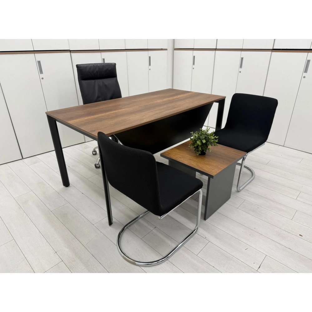 Ofis Çalışma Masası Büro Çalışma Masası ST 100 Ad