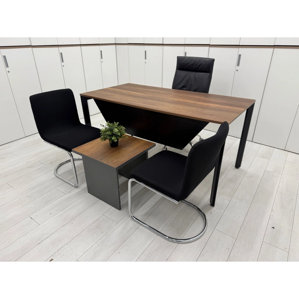 Ofis Çalışma Masası Büro Çalışma Masası ST 100 Ad