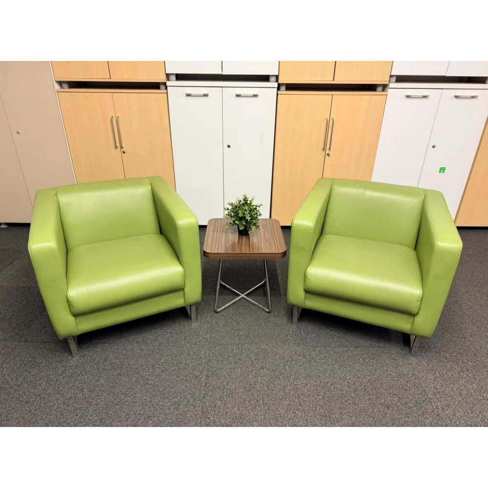 Yeşil Deri Berjer Misafir Bekleme Koltuğu