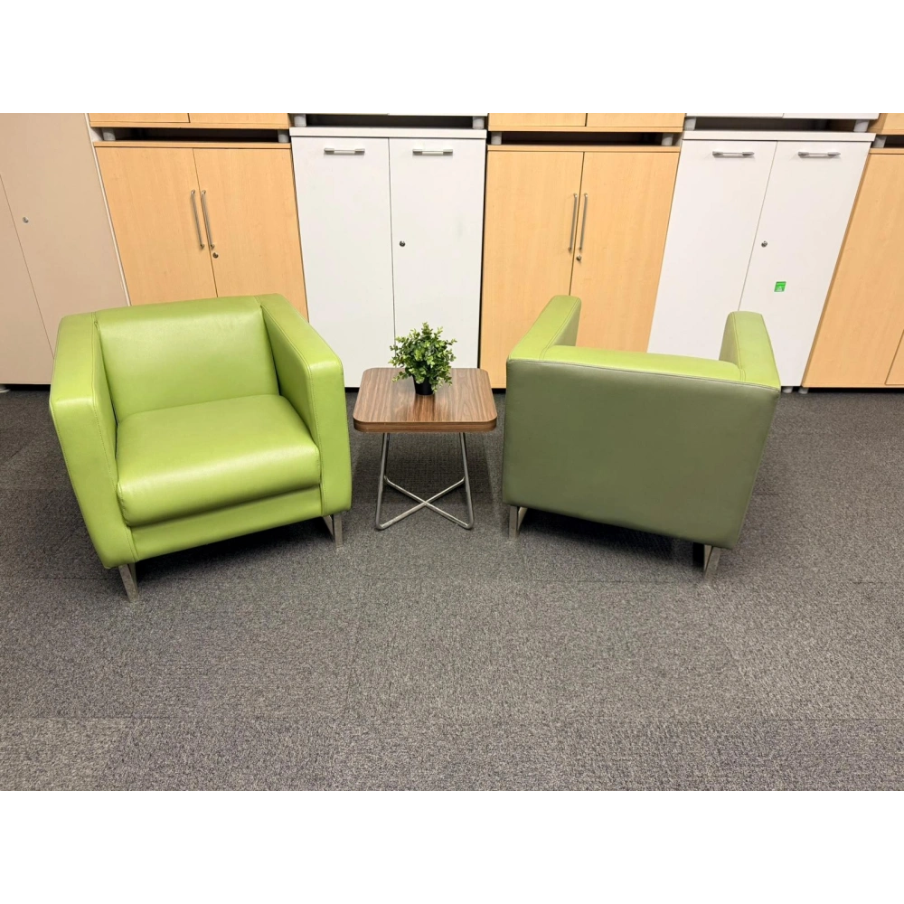 Yeşil Deri Berjer Misafir Bekleme Koltuğu