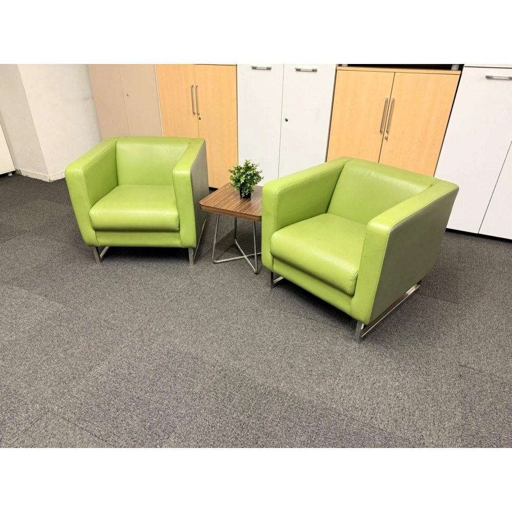 Yeşil Deri Berjer Misafir Bekleme Koltuğu