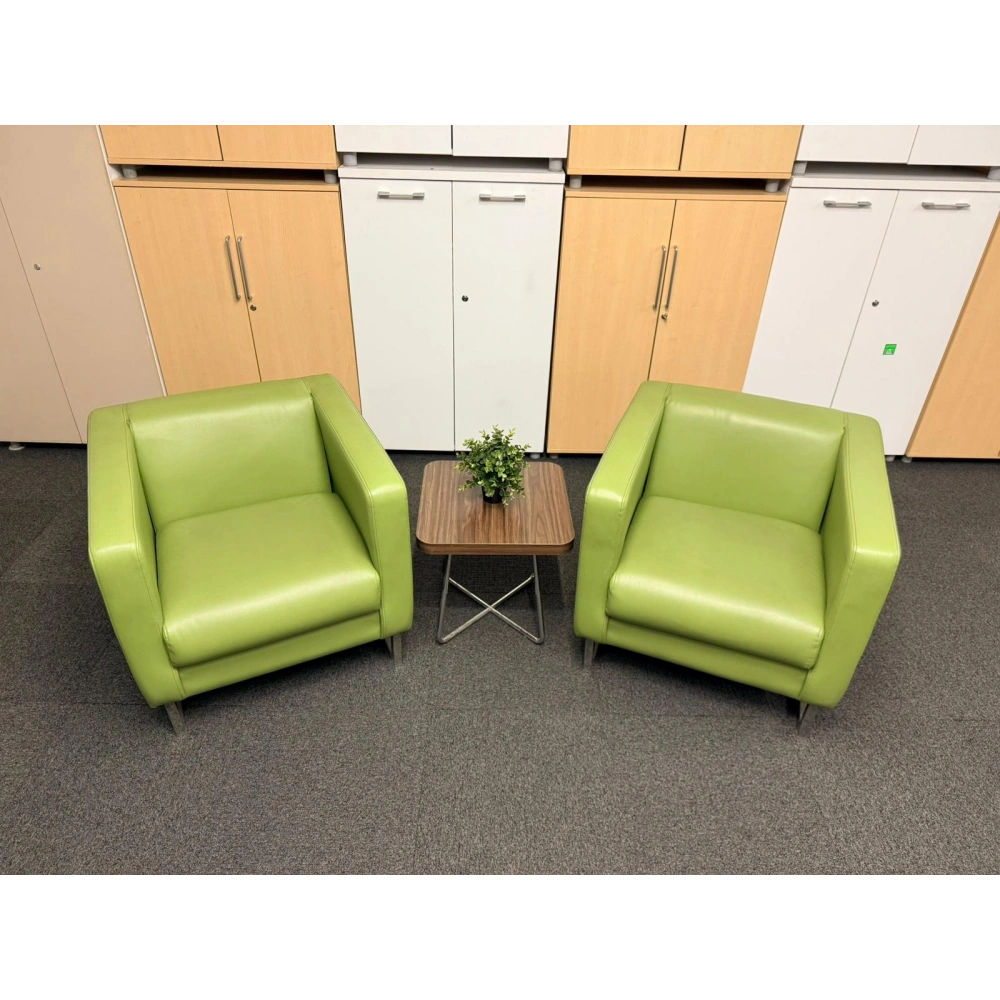 Yeşil Deri Berjer Misafir Bekleme Koltuğu