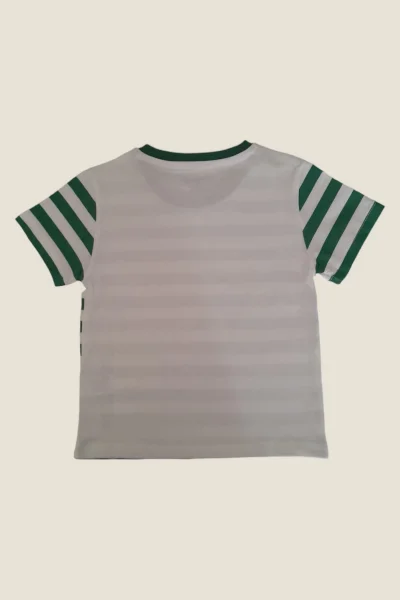 Çizgili Yeşil Çocuk T-Shirt ( 2-5 Yaş )