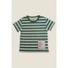 Çizgili Yeşil Çocuk T-Shirt ( 2-5 Yaş )