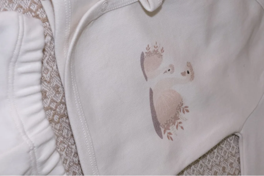 10 lu Baby Swan %100 Pamuk Yenidoğan Hastane Çıkışı