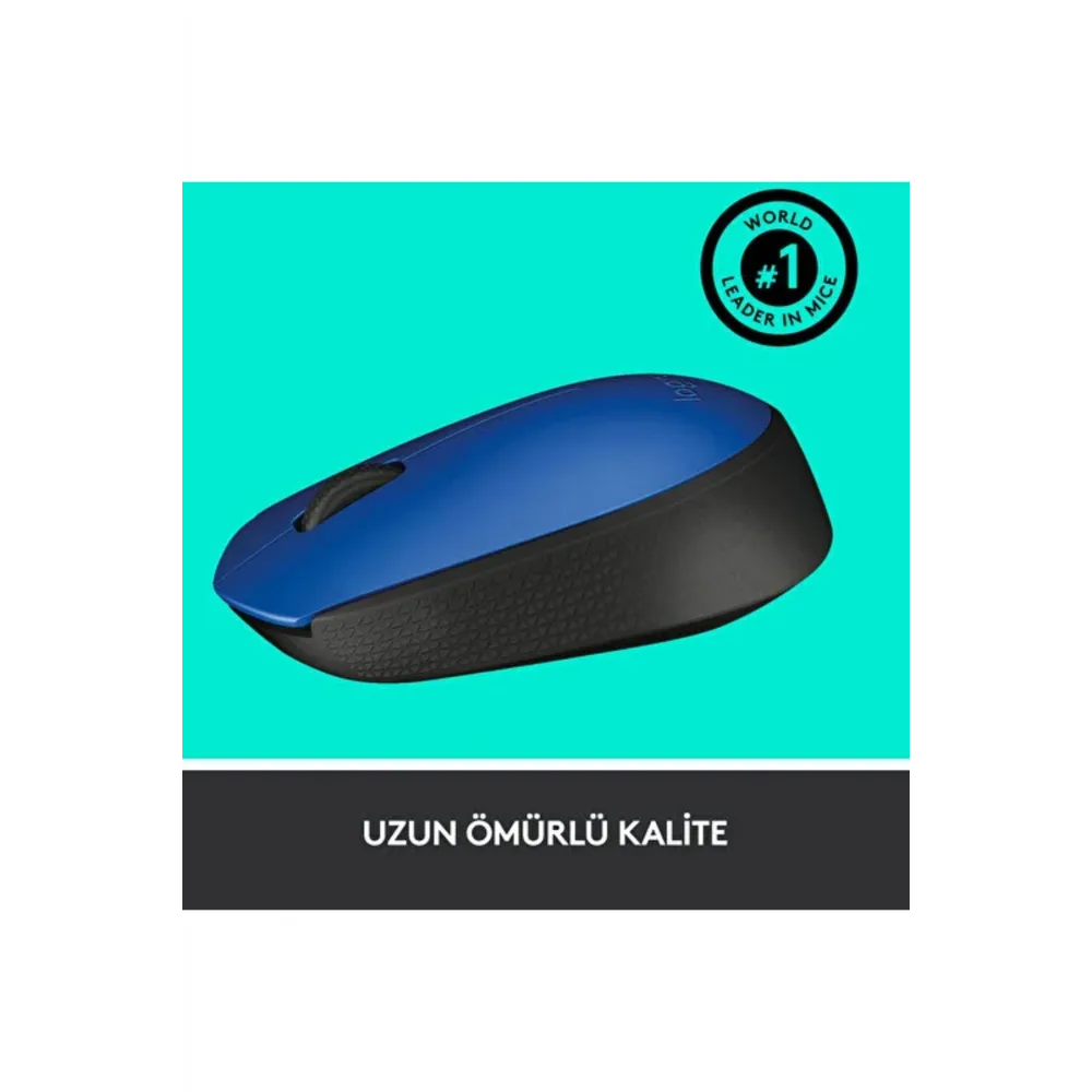 M171 USB Alıcılı Kablosuz Kompakt Mouse Mavi 910-004640