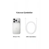 iPhone 17 Pro 256GB Gümüş)