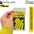 Renat Carp Profesyonel Sazan Dip Yemi - Koku Emici Seri