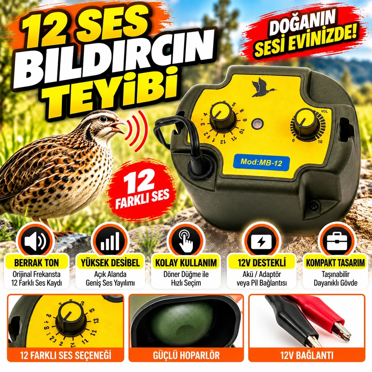 12 Ses Akustik Bıldırcın Teybi & Kuş Sesi Simülatörü