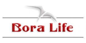 Bora Knives