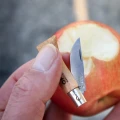 Opinel Inox No:2 Katlanır Cep Çakısı - Paslanmaz Çelik Yatagan Bıçak Kayın Sap