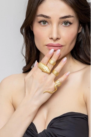 ZeyDor Altın Kaplama Yılan Yüzük Seti 1248