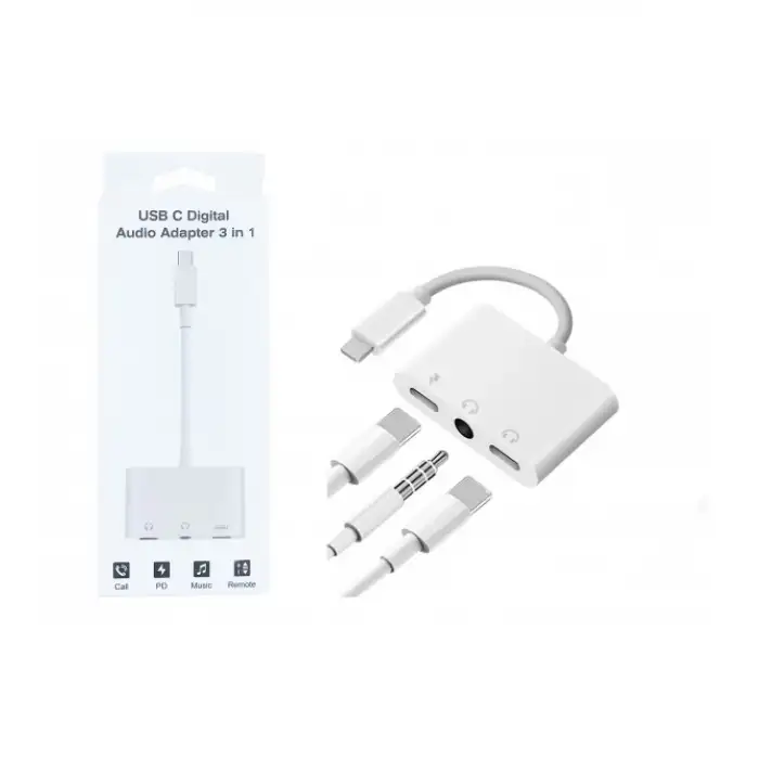 PLATOON PL-8826 AUX/TYPE-C/TYPE-C GİRİŞLİ TYPE-C UÇ KULAKLIK ÇEVİRİCİ APARAT