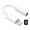 Platoon PL-8750 iPhone Lightning Aux Çevirici Apple iPad Dönüştürücü Adaptör