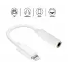 Platoon PL-8750 iPhone Lightning Aux Çevirici Apple iPad Dönüştürücü Adaptör