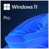 Microsoft Windows 11 Pro 32/64 Bit Tr-ıng Esd Elektronik Lisans (fQc-10572)