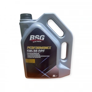5W30 Partiküllü  5 Litre Motor Yağ BSG 99-998-050