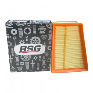 Hava Filitresi Renault Megane II 02> 1.5DCİ - 1.6 16V K4M Bsg 75-135-003 - 8200371661