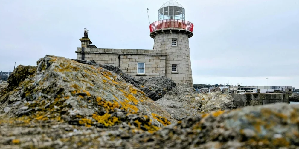 Sorun: İşlemci Frekansı 0.79 GHze Sabitleniyor (BD PROCHOT)
Çözüm: ThrottleStop ile Yanıltıcı Sensör Sinyalini Engellemek