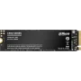 1TB M2 NVME / DAHUA C900N