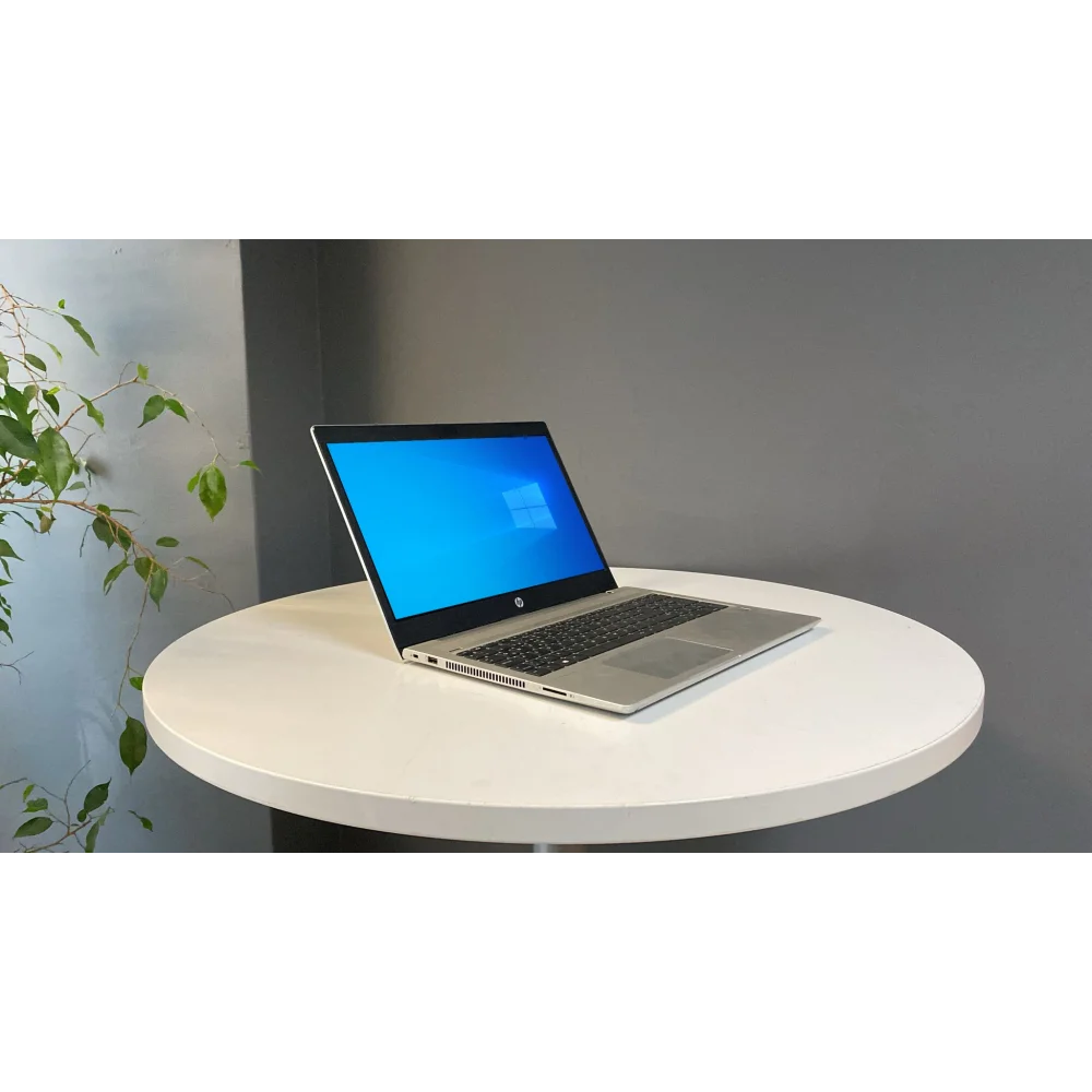 Hp Notebook ProBook 450 G7 İ7 10510U 8Gb Ddr4 256Gb M2 Ssd 2Gb Mx250 15.6 Fhd C Laptop 2.El