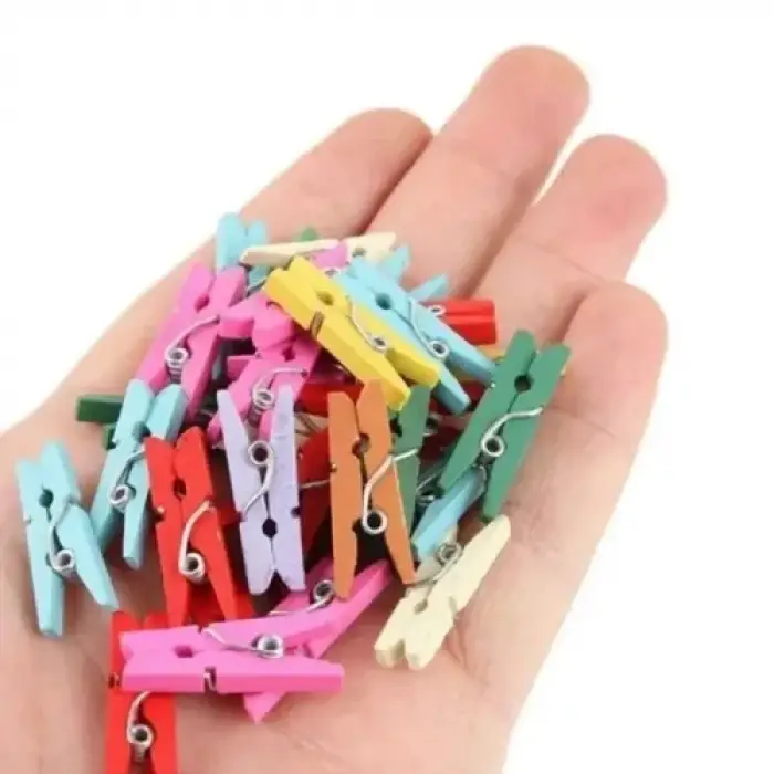 100lü Renkli Ahşap Mandal Seti 2.5 cm