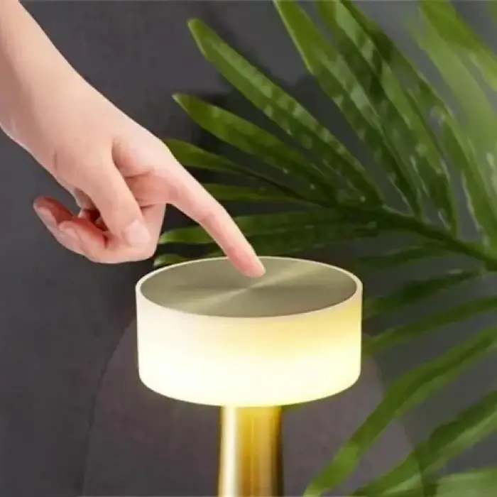 Dekoratif Led Masa Lambası