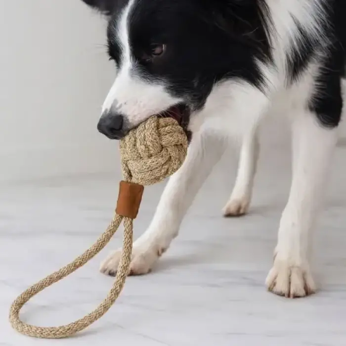 Mikopet Köpek Oyun Topu