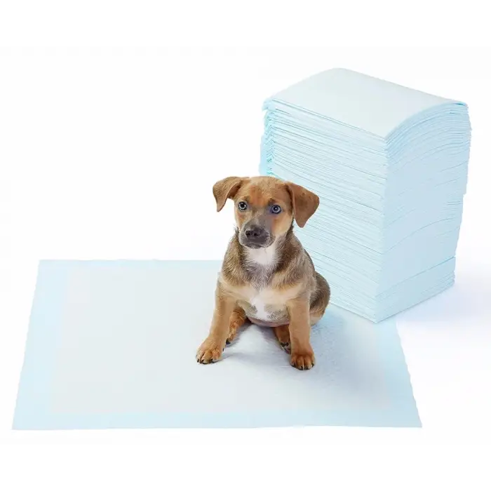 ieg™ Yıkanabilir Köpek Çiş Pedi - 90 X 60 Cm