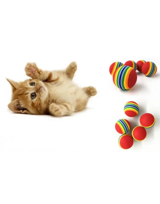 2 ADET GÖKKUŞAĞI RENKLI KEDI KÖPEK OYUN TOPU