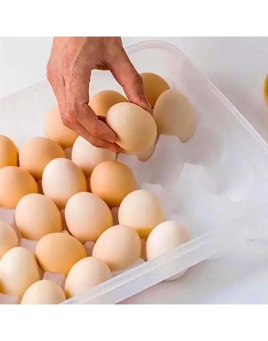 30'lu Yumurta Saklama Kabı