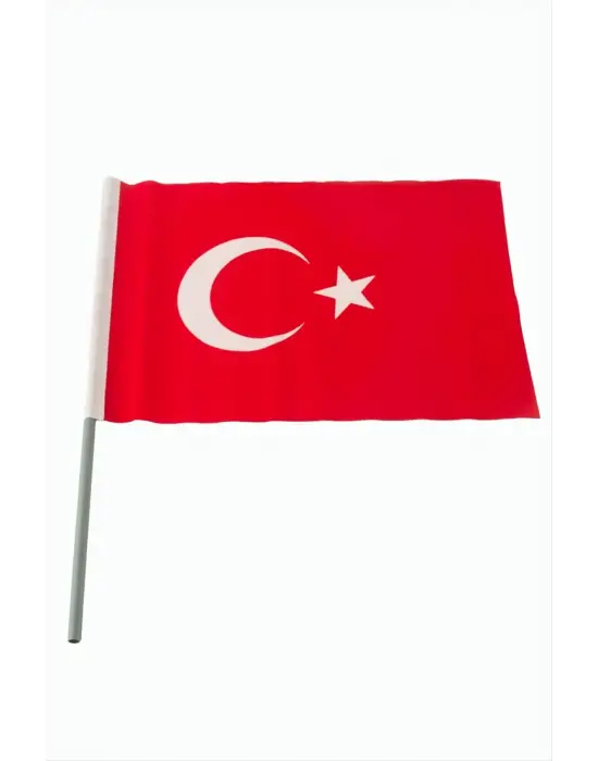 Ay Yıldız Türk Bayrağı 20*30 cm