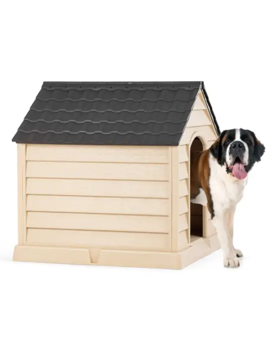 Büyük Köpek Kulübesi
