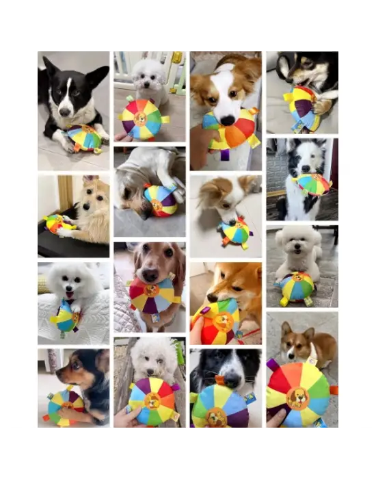 Çıngıraklı Peluş Frizbi Evcil Hayvan Oyuncağı