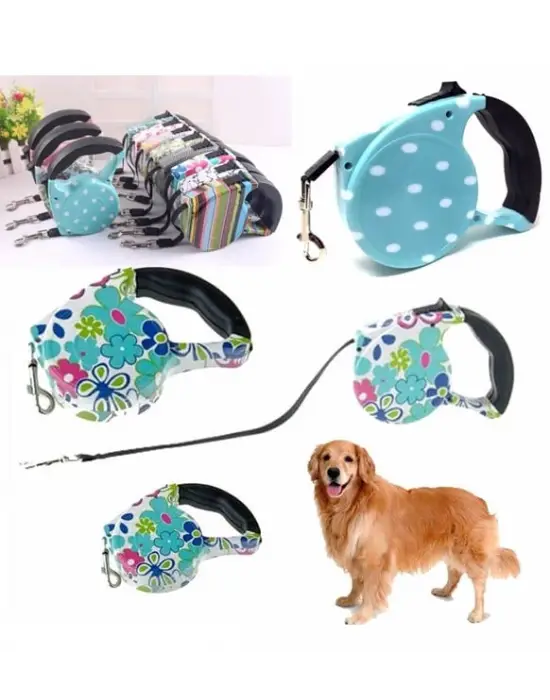 Desenli Köpek Tasması - Pup Style