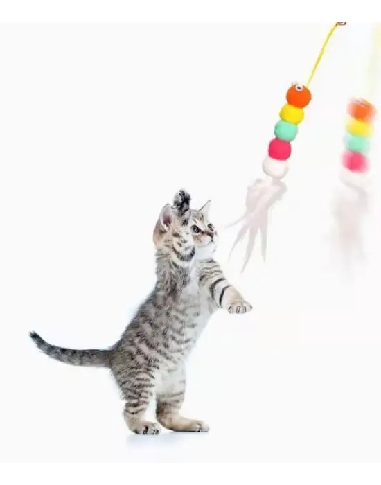 Elastik Yapışkanlı Kedi Oyun Oltası
