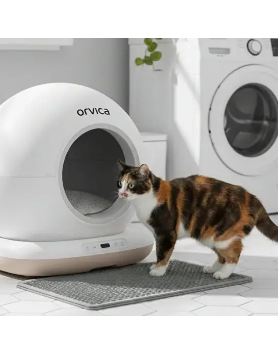 HD Kameralı Akıllı Kedi Tuvaleti