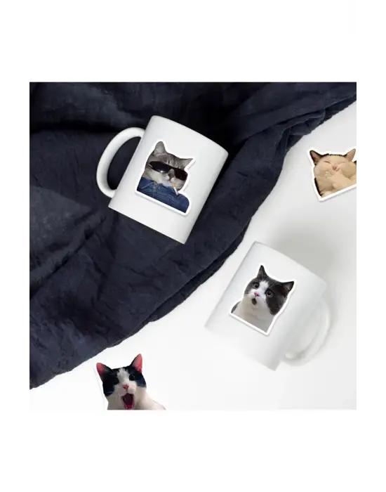 ieg™ Çılgın Kediler Macbook Notebook Tablet Telefon Ajanda Laptop Defter Sticker Seti