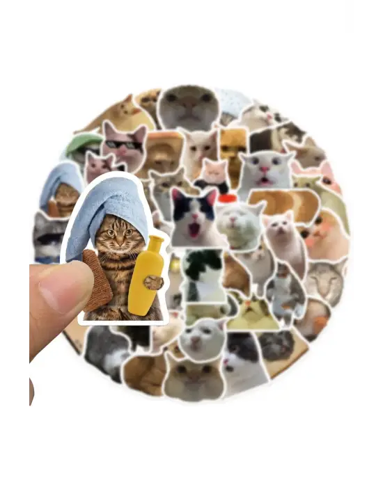 ieg™ Çılgın Kediler Macbook Notebook Tablet Telefon Ajanda Laptop Defter Sticker Seti
