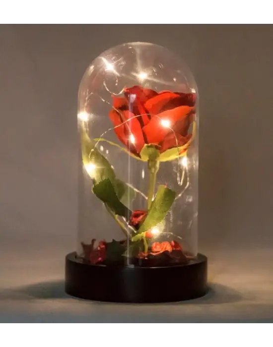 Led Işıklı Fanus İçinde Kırmızı Yapay Gül