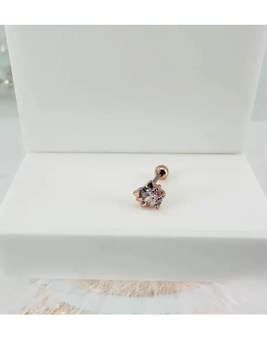 IEG - Tragus Kıkırdak Küpesi