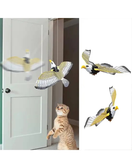 İnteraktif Kartal Kedi Oyuncağı