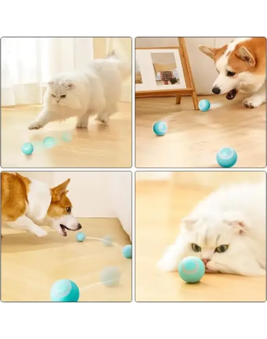 İnteraktif Kedi Köpek Şarjlı Oyun Topu