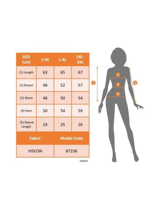 Kadın Kısa Kollu V Yakalı şerit Detaylı Viskon Bluz